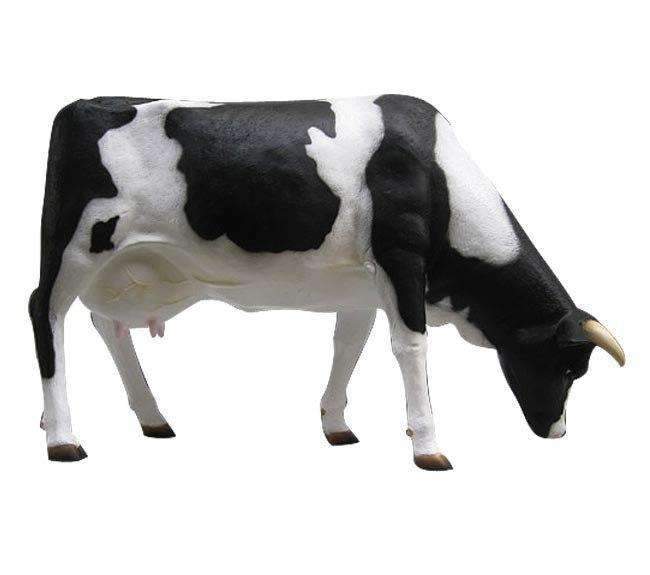 Zoo and park decoration sculpture life size fiberglass animal cow statue
